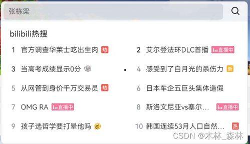 哔哩哔哩视频解析网站,轻松获取高清视频内容